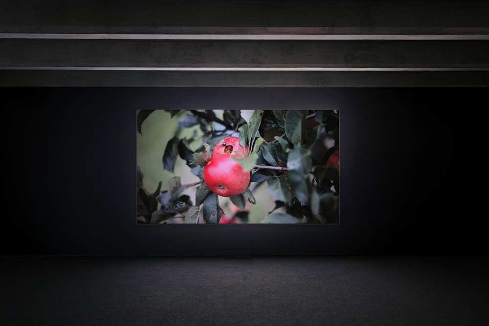 If play is neither inside nor outside, where is it?, Helen McCrorie, installation COLLECTIVE, 2019